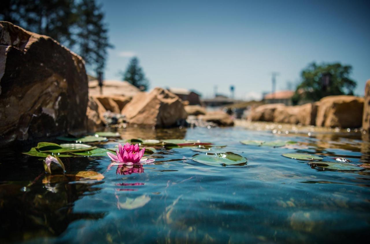 Natura Treescape Resort Wisconsin Dells Dış mekan fotoğraf